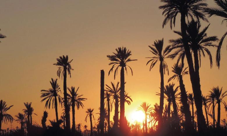 La Rose Des Sables Villa Marrakesh Exterior photo